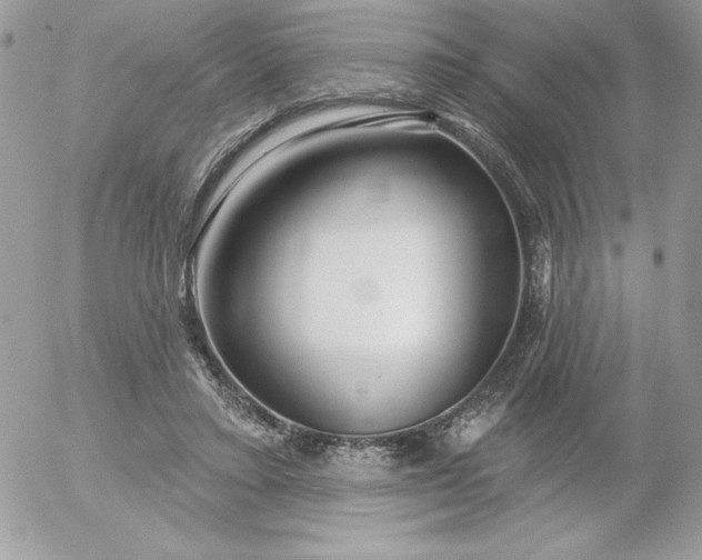 X0000052940403200507221152