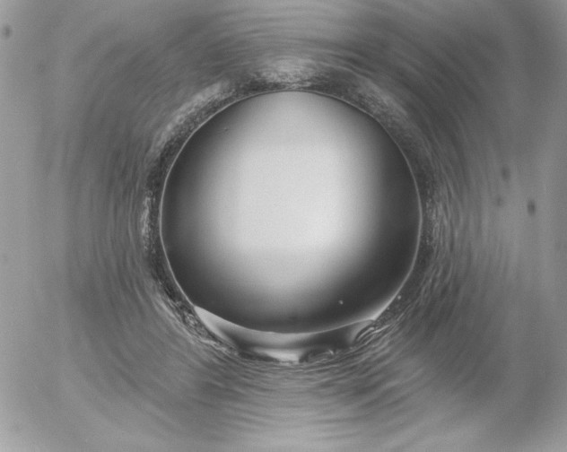 X0000052940404200507221152