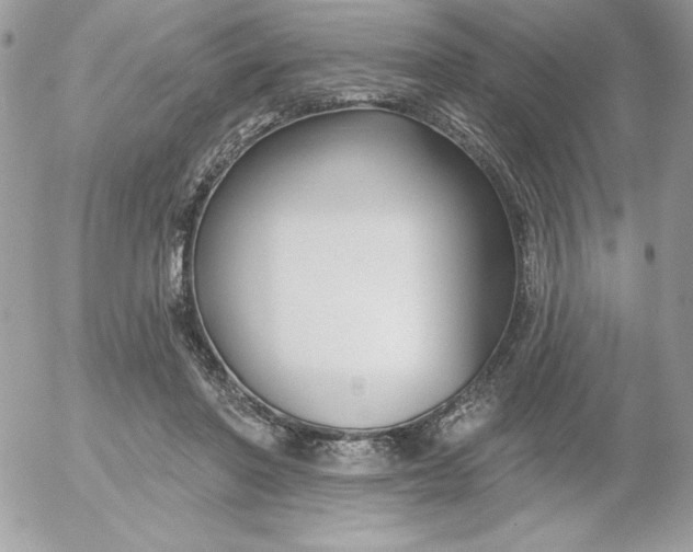 X0000052940406200507221152