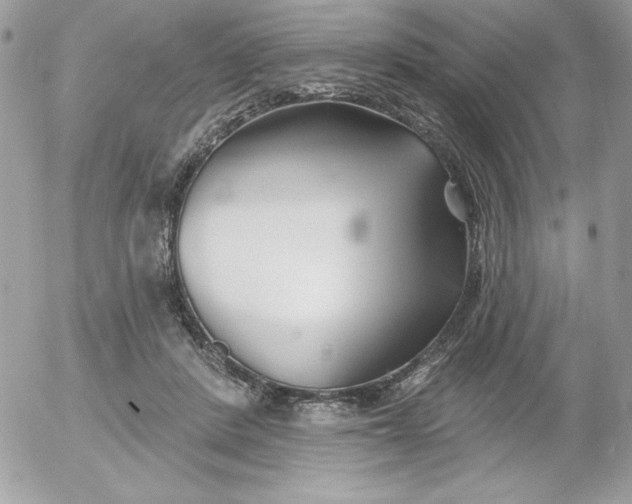 X0000052940408200507221151