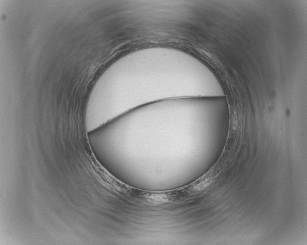 X0000052940409200507221151