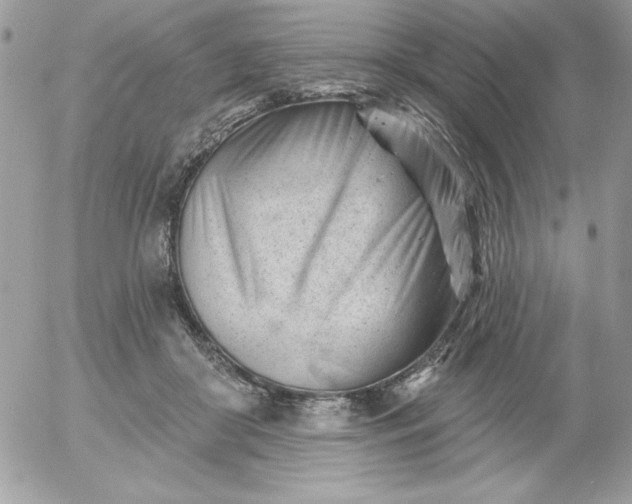 X0000052940410200507221151