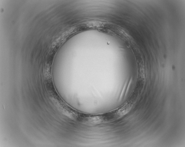 X0000052940411200507221151