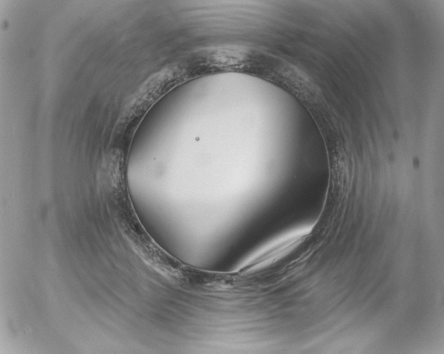 X0000052940412200507221151