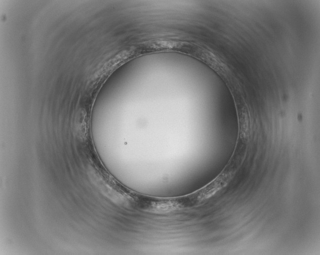 X0000052940414200507221151