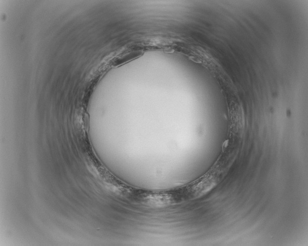 X0000052940415200507221151