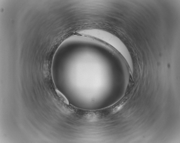 X0000052940416200507221151