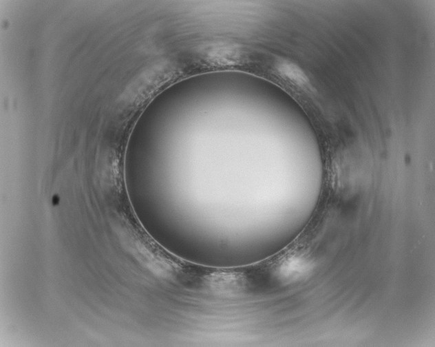 X0000052940418200507221151