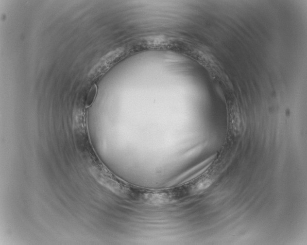 X0000052940419200507221151