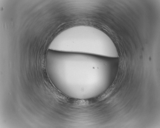 X0000052940421200507221151