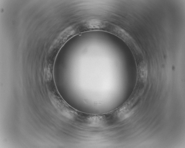 X0000052940422200507221151