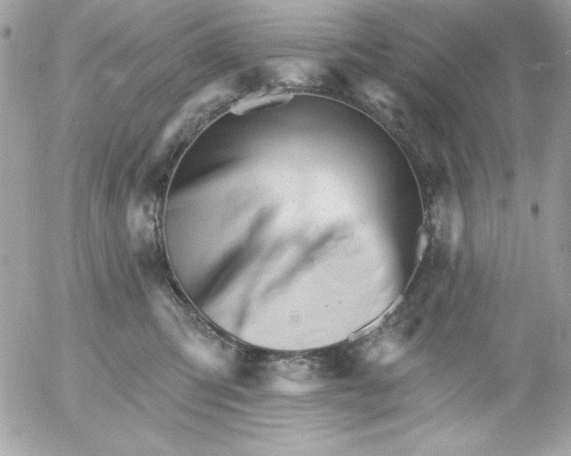 X0000052940423200507221151