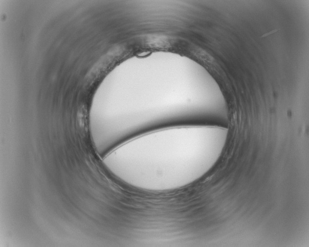 X0000052940424200507221151