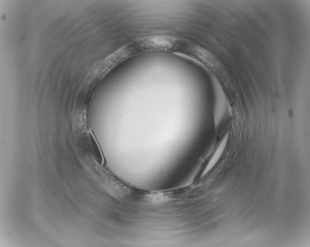 X0000052940425200507221151