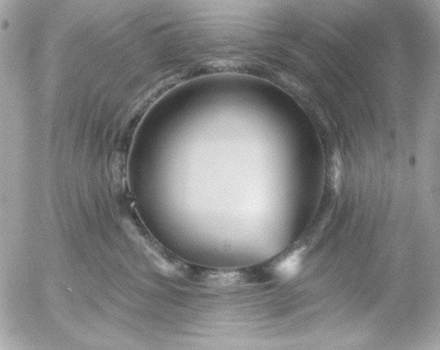 X0000052940428200507221151