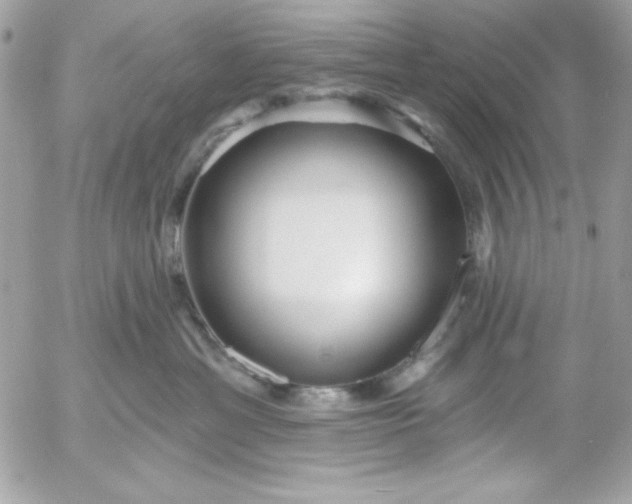 X0000052940429200507221151