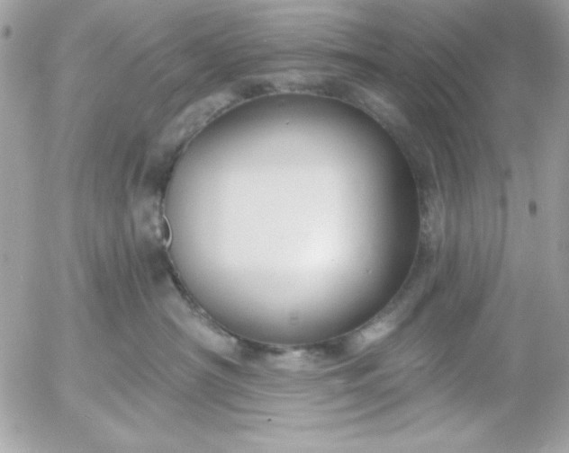 X0000052940430200507221151