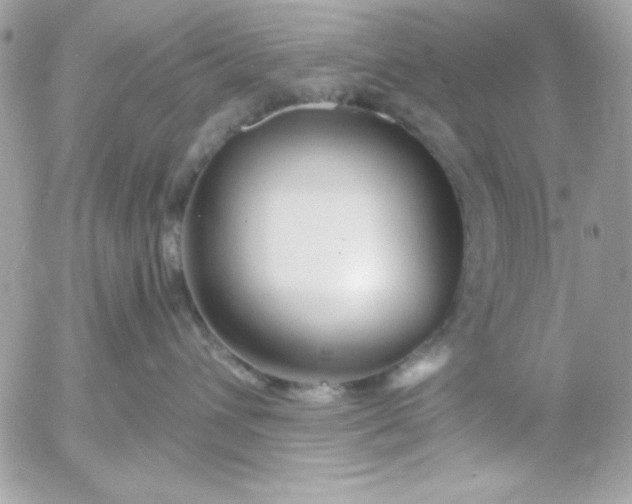 X0000052940432200507221151