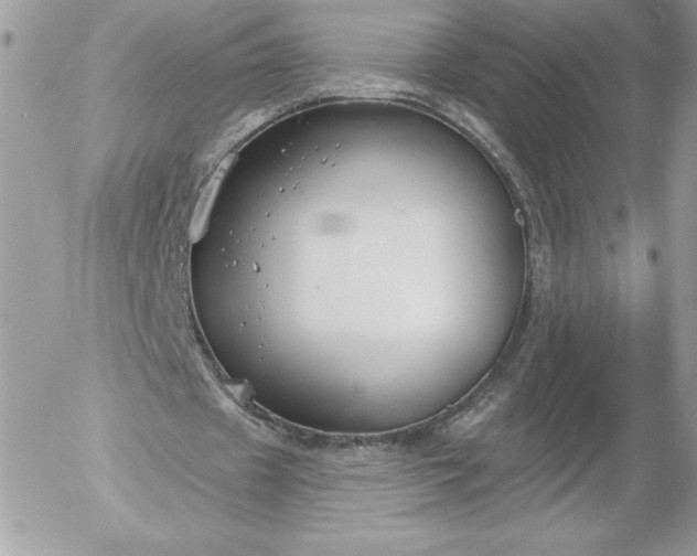 X0000052940433200507221150