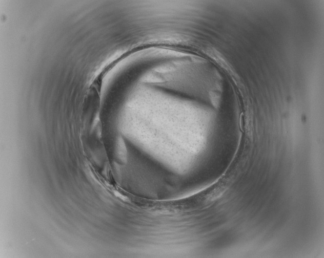 X0000052940434200507221150