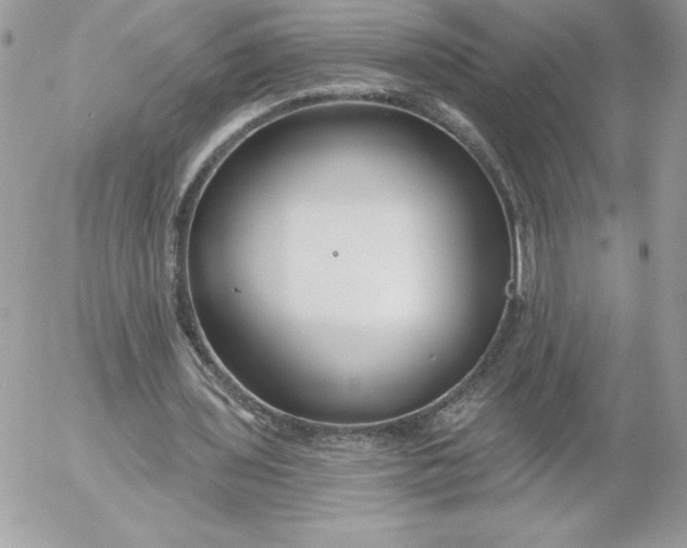 X0000052940435200507221150