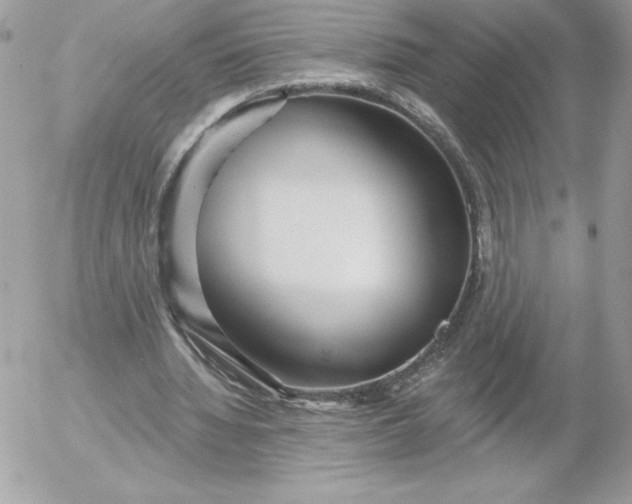 X0000052940436200507221150