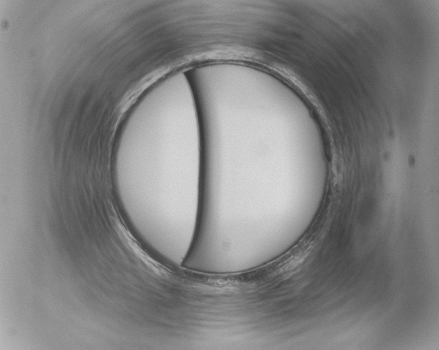 X0000052940437200507221150