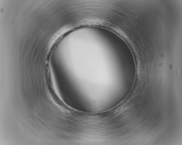 X0000052940438200507221150