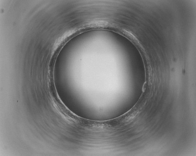 X0000052940439200507221150