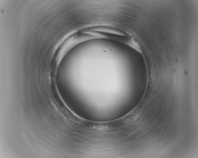 X0000052940440200507221150