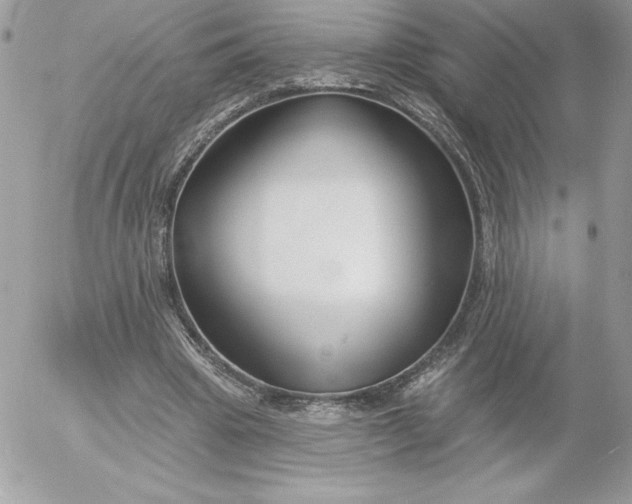 X0000052940441200507221150