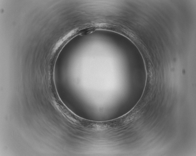 X0000052940442200507221150