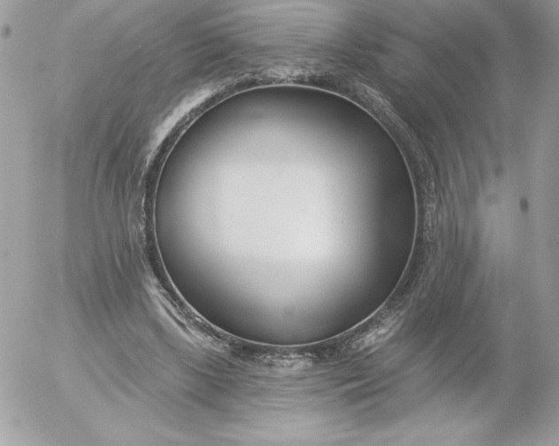 X0000052940443200507221150