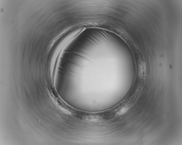 X0000052940444200507221150