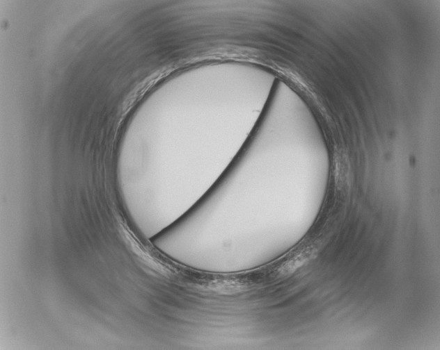 X0000052940445200507221151