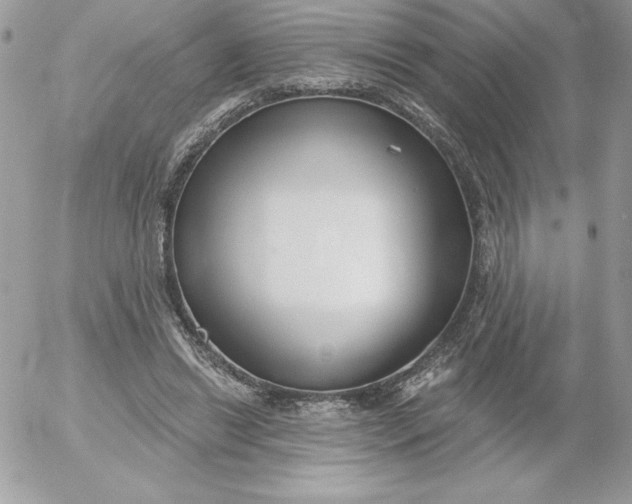 X0000052940446200507221151