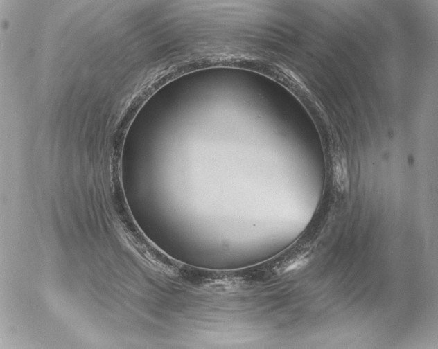 X0000052940447200507221151