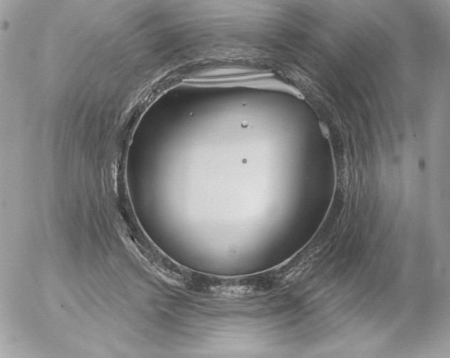 X0000052940448200507221151