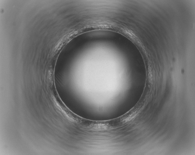 X0000052940449200507221151