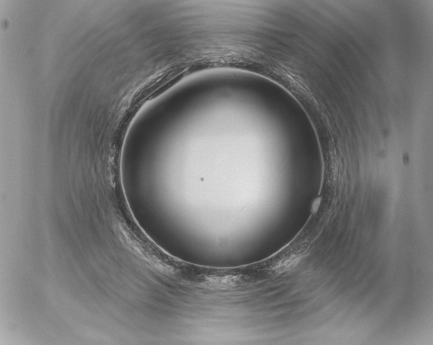 X0000052940450200507221151