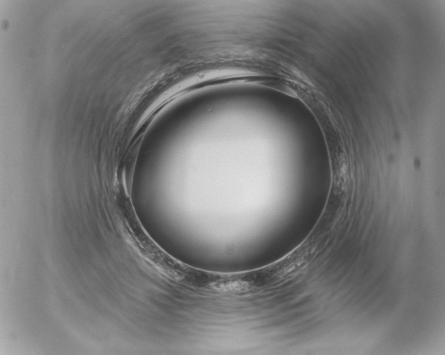 X0000052940452200507221151