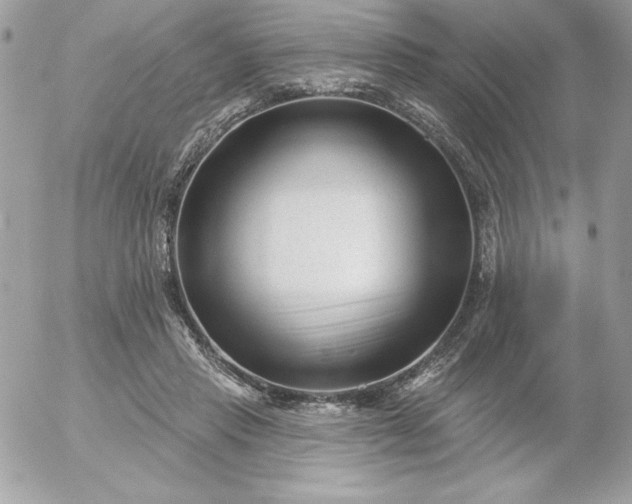 X0000052940453200507221151