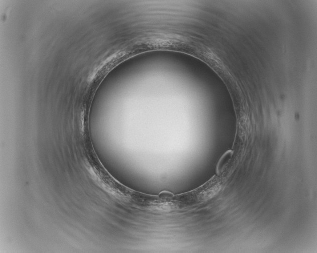 X0000052940454200507221151