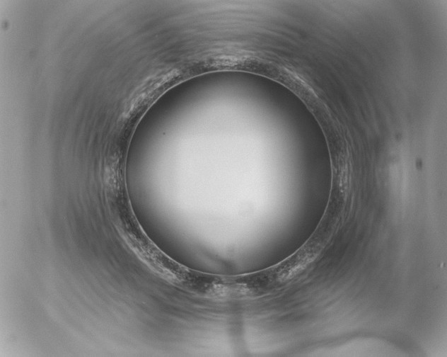 X0000052940455200507221151