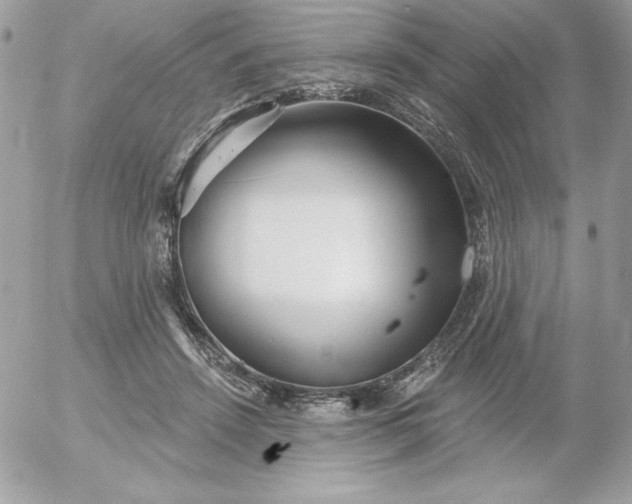 X0000052940456200507221151