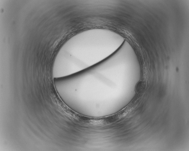 X0000052940457200507221151