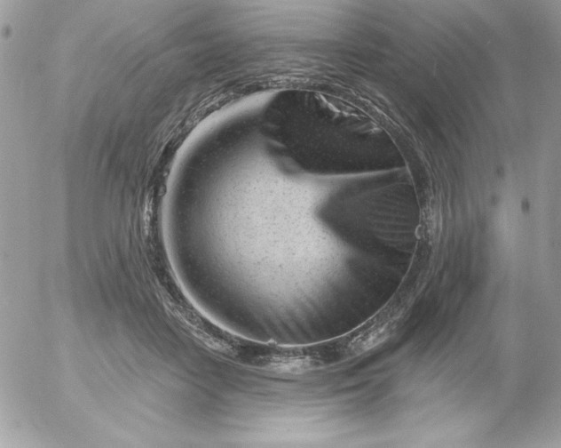 X0000052940458200507221151