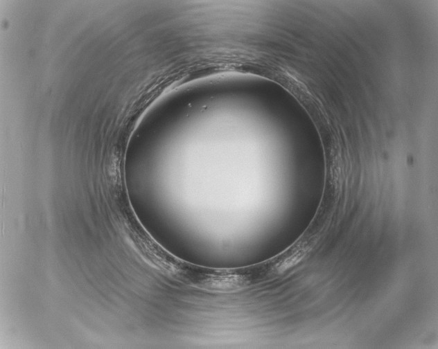 X0000052940459200507221151