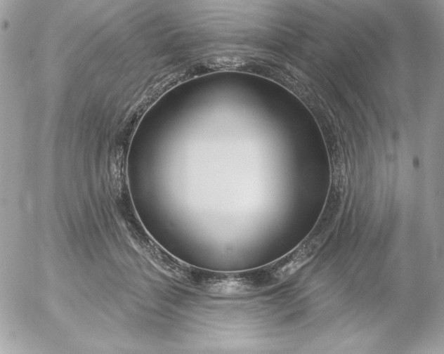 X0000052940460200507221151