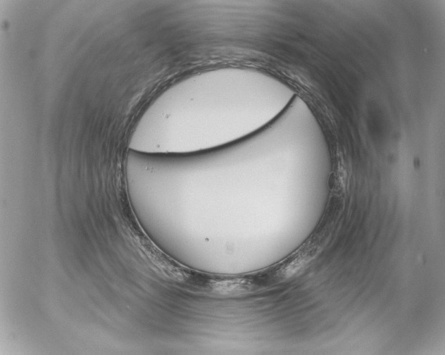 X0000052940461200507221151